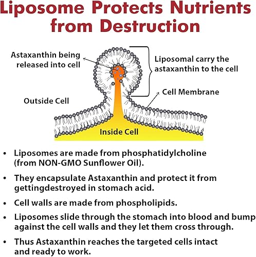 Miniatura 10 de Suplementos de astaxantina liposomal de Osasuna de 24 mg para una mejor absorción, potente suplemento antioxidante para la visión, la piel y la