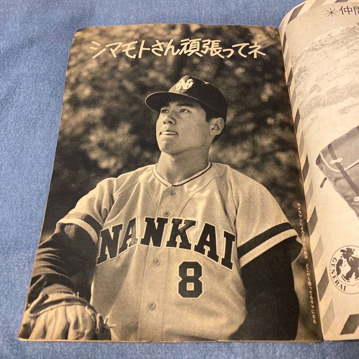 昭和42年 上毛新聞・プロ野球選手一覧新聞紙二面【昭和ノスタルジー美