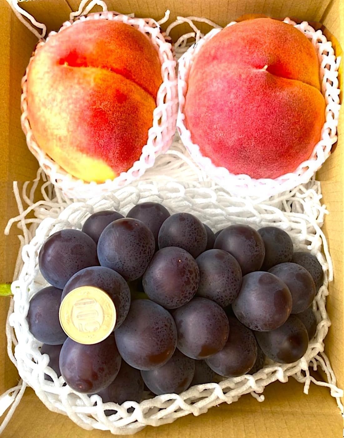 食べ比べセット　桃　さくらんぼ　プラム　スモモ　葡萄　ぶどう　白桃　モモ　ブドウ 食べ比べセット 桃 さくらんぼ プラム スモモ 葡萄 ぶどう 白桃