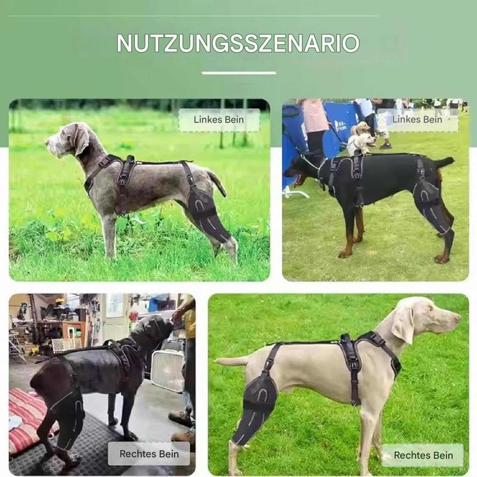 Orteza Kolana Dla Z Metalowymi Stabilizatorami Regulowana Uprząż Kolanowa