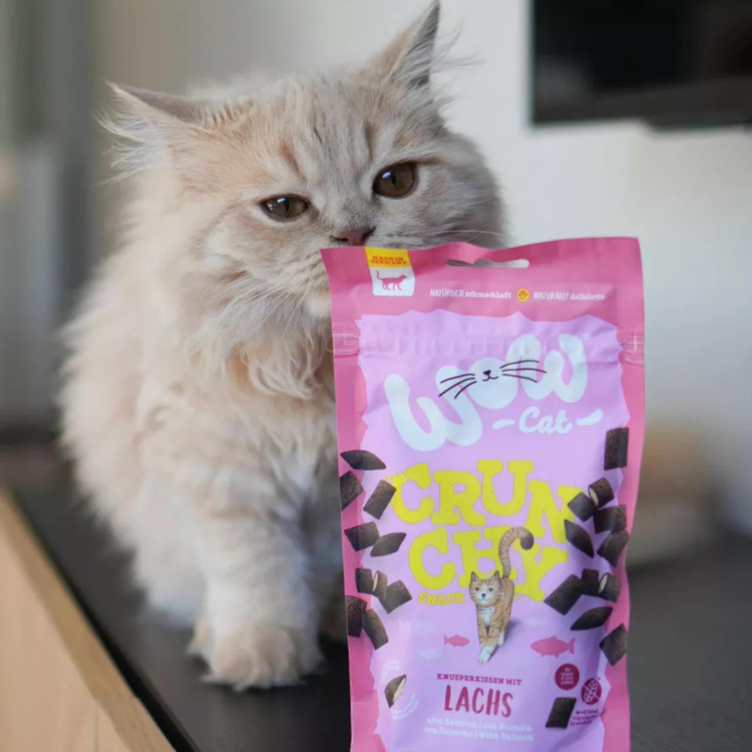 WOW Cat Crunchy Snack mit Lachs 24 x 60 g | ohne Getreide & Zucker