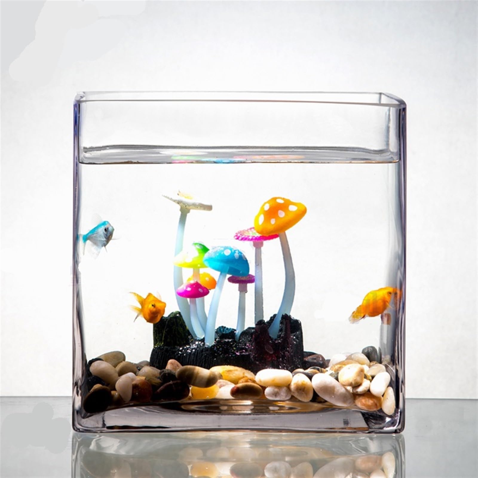 Doorzichtig Aquarium Met Hoog Gepolijste Randen Voor Gebruik In Huis Woonkamer Balkon En Desktop
