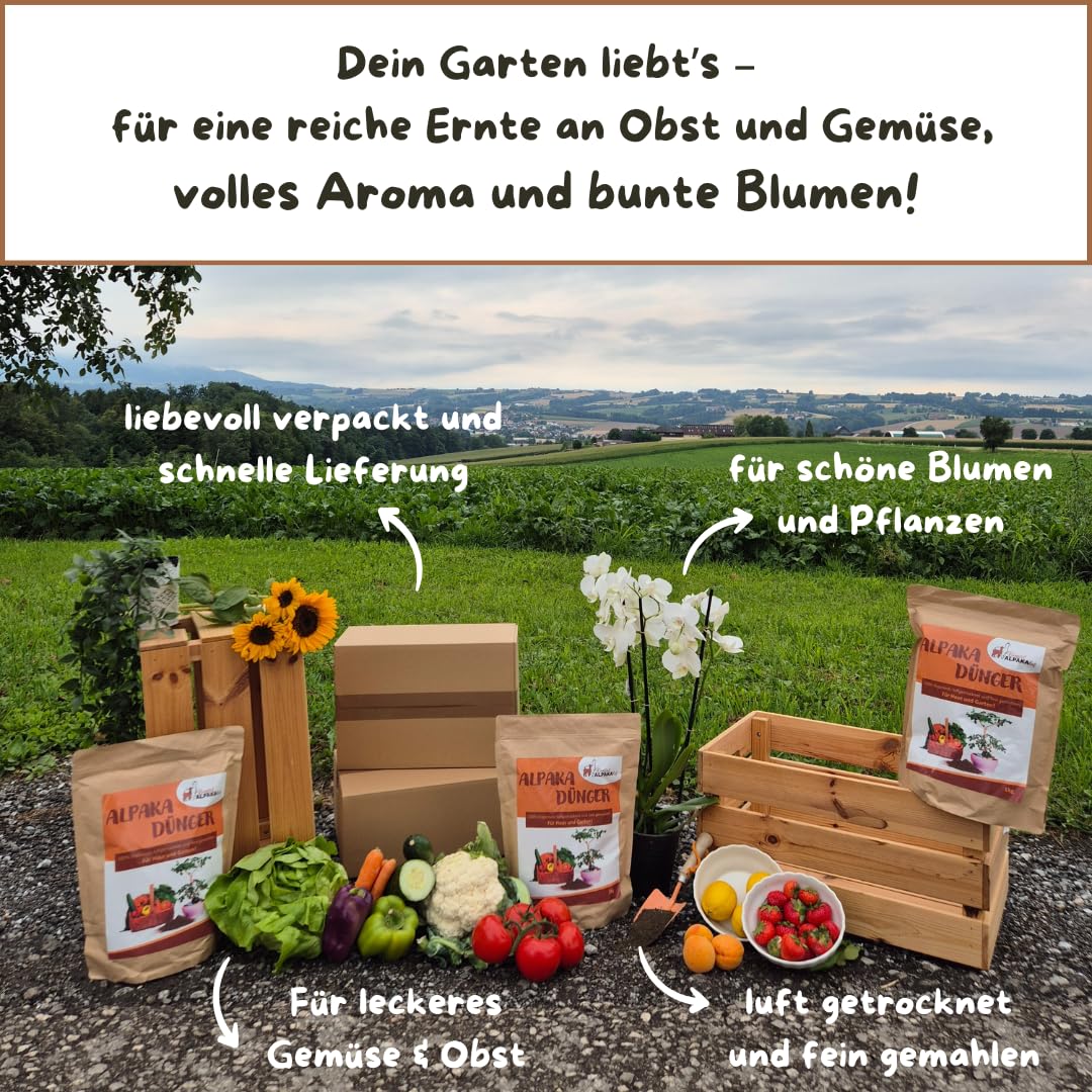 dünger 3 in 1 BioCanna Bio Vega 3-1-5 – Dünger für Grünpflanzen – LazyGarden main image 1