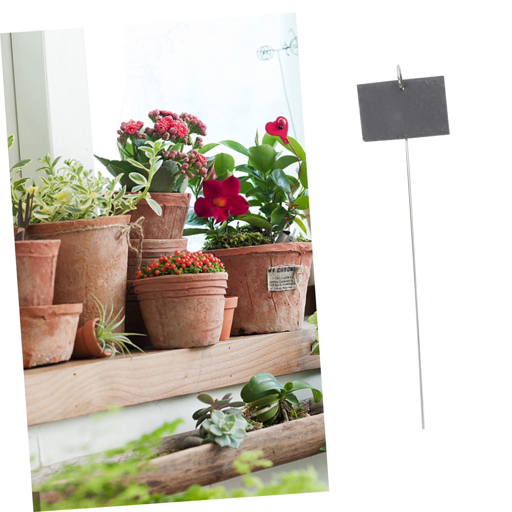 BESTonZON Étiquettes Jardin en Ardoise et Fer Noir, Marqueurs pour Plantes Résistants et Réutilisables, Décorations Simples pour Jardin et Identification des Fleurs