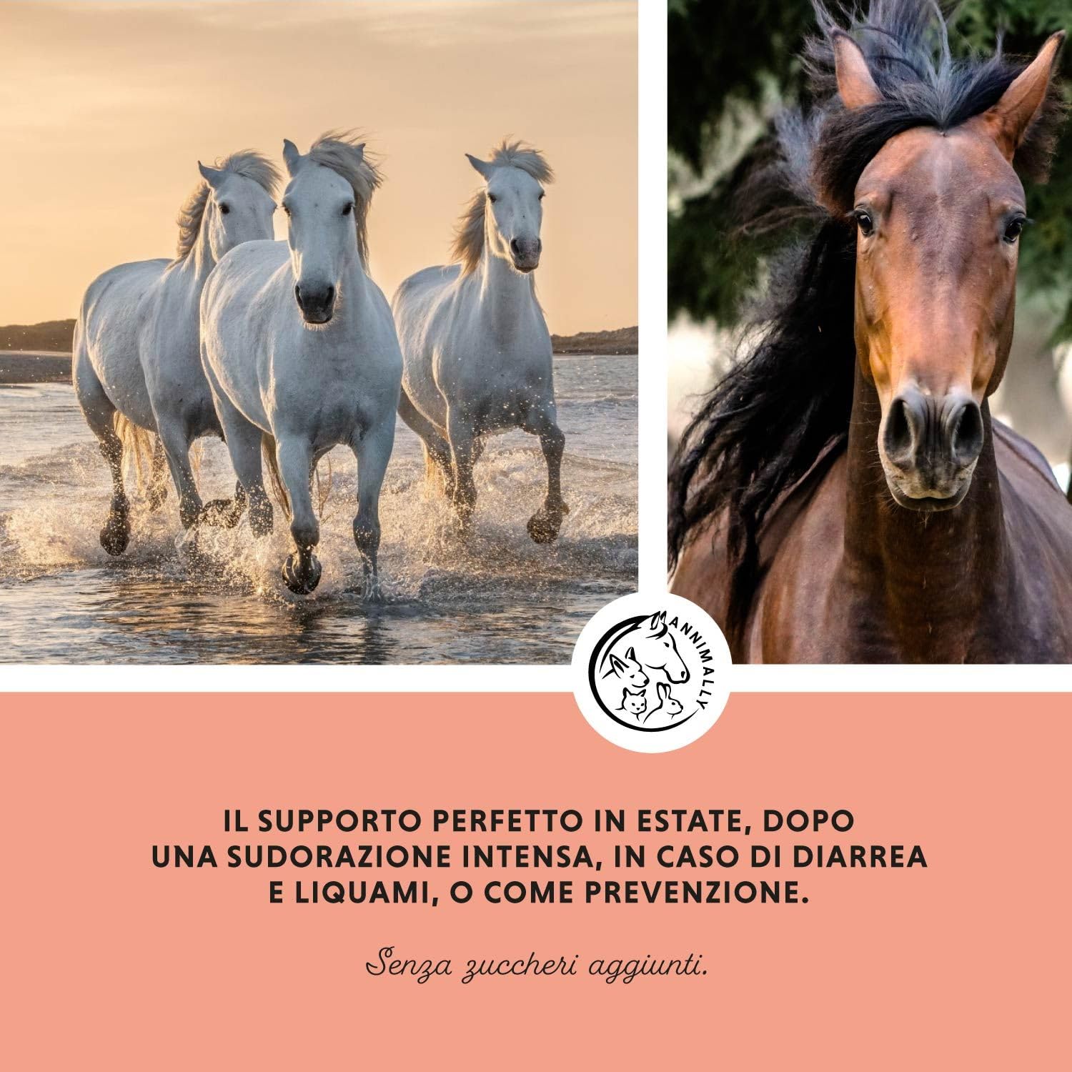 Elettroliti Liquidi per Cavalli 1000ml con sodio, potassio, acerola, calcio, magnesio e Vitamina B liquida - Elettroliti Liquidi senza zuccheri aggiunti - Elettroliti integratore Cavalli