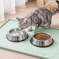 22x19 Pet Feeding Mat Waterproof Nonslip Cats and Dogs Water Bowl Mat | Silicone 0.59" Raised Edges Contain Food & Water Spills, Easy To Clean, Bpa-Free, Reinforced To Resist Collapse,Light Green