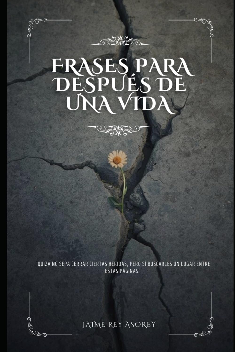 Frases para después de una vida