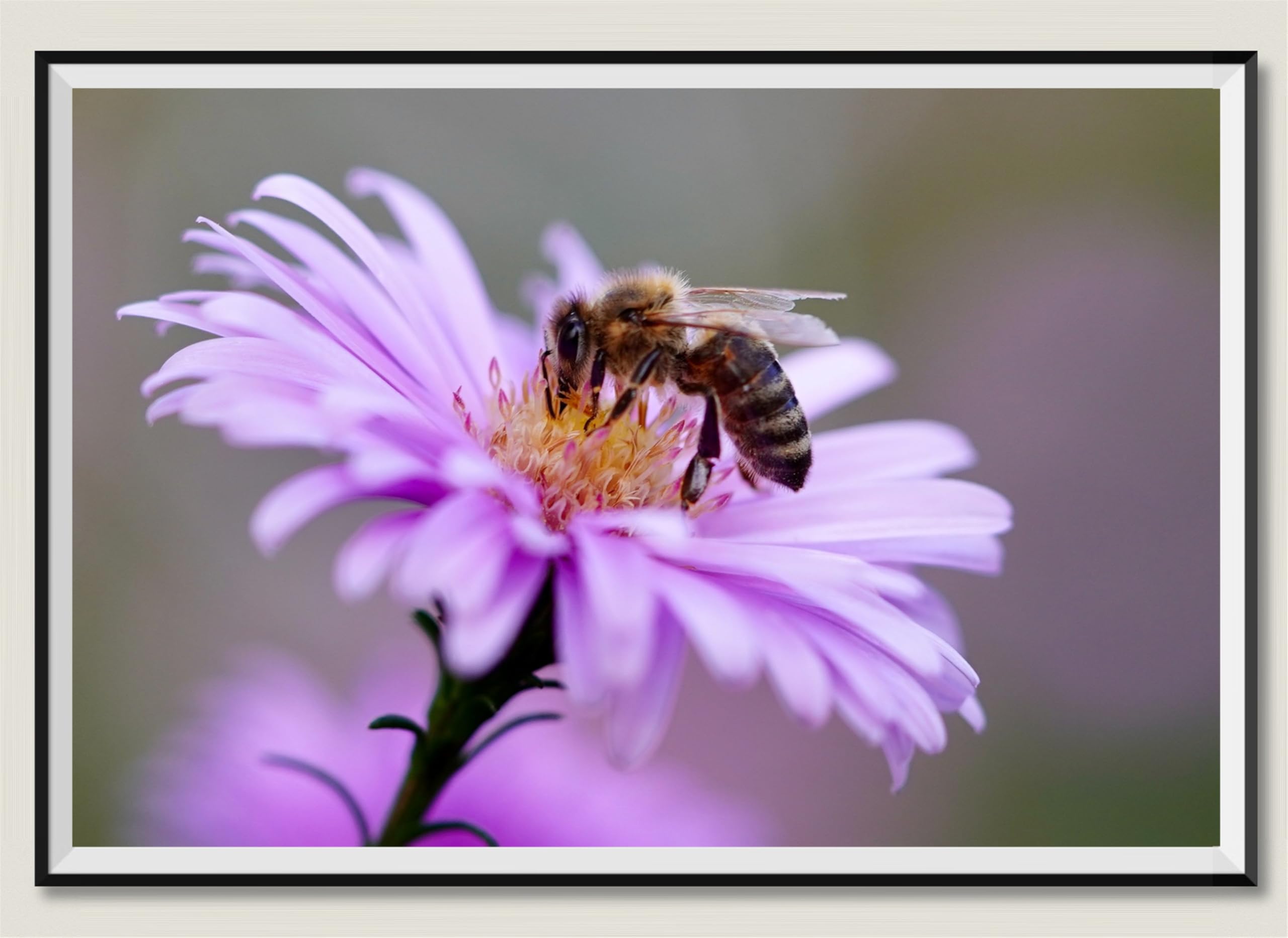 Estambres Amarillos de Abejas - Rompecabezas de Madera de 7000 Piezas - Juguete para Adultos, Juego de Rompecabezas Casual (14 años+)