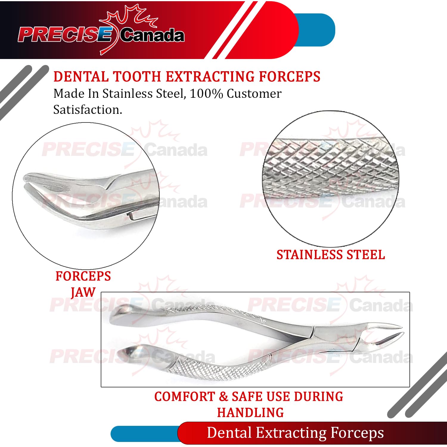 Precise Canada: Extracting Forceps 151A Lower Incisors Cuspids And Bicuspids 151A Universal Parallel Beaks