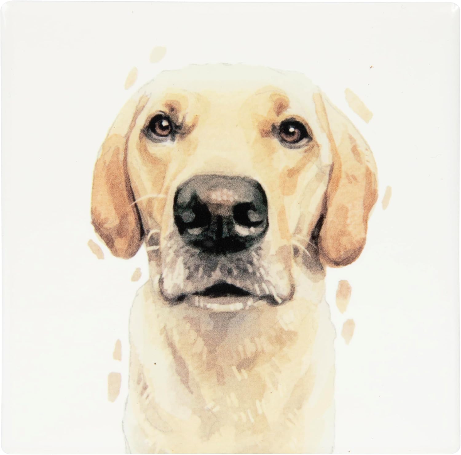 Lesser & Pavey Golden Labrador Coaster Robert James Hull for Home & Office | Stylish Coasters for Kitchen & Dining | Durable Drinks Coasters for Tabletops | Decorative Home Accessories for Tables