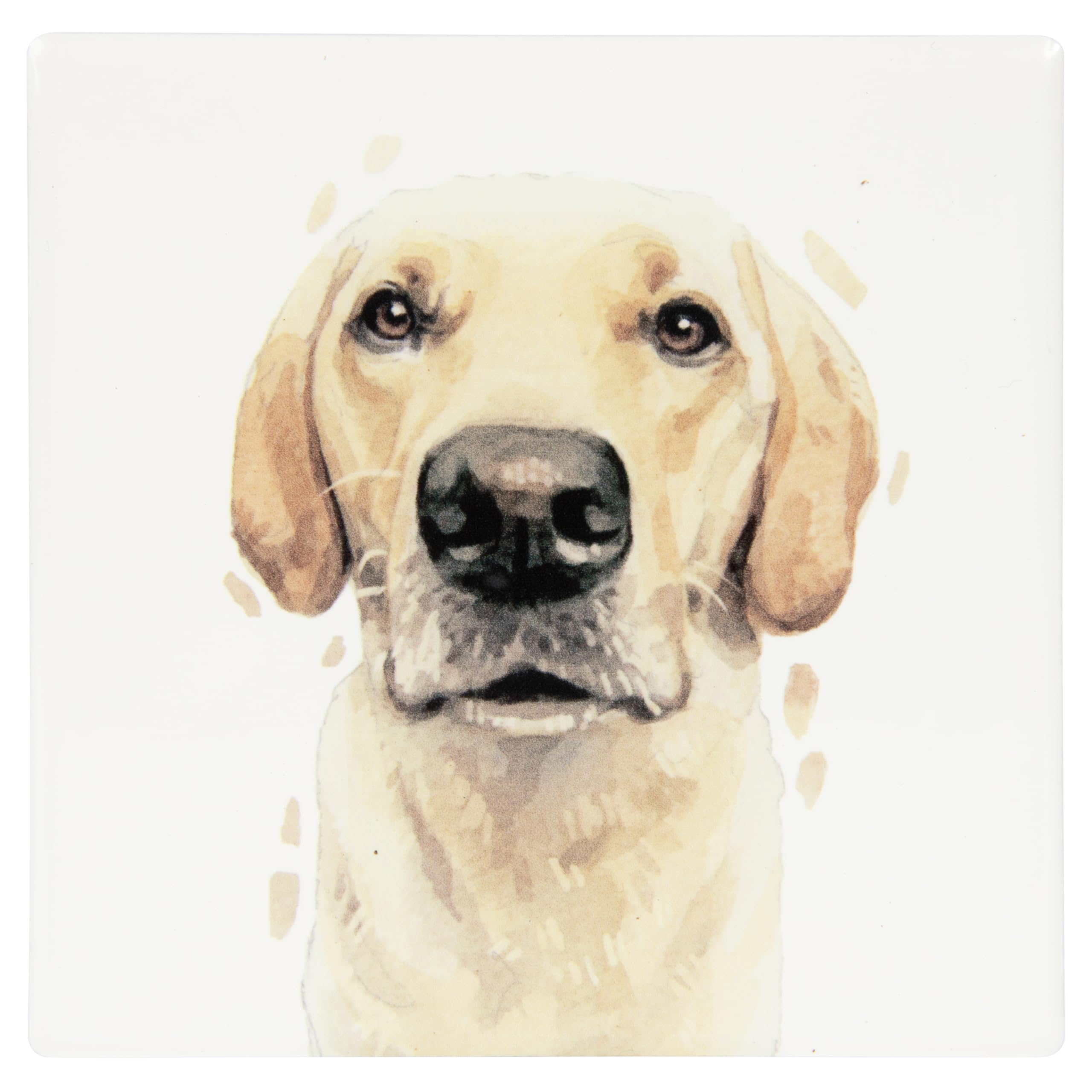 Lesser & Pavey Golden Labrador Coaster Robert James Hull For Home & Office | Stylish Coasters For Kitchen & Dining | Durable Drinks Coasters For Tabletops | Decorative Home Accessories for Tables
