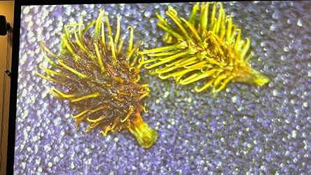 Customer Image, click to open customer review