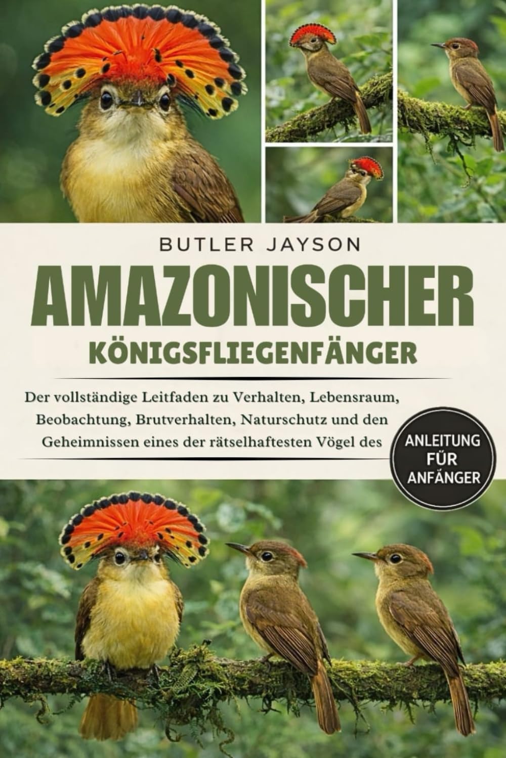 AMAZONISCHER KÖNIGSFLIEGENFÄNGER: Der vollständige Leitfaden zu Verhalten, Lebensraum, Beobachtung, Brutverhalten, Naturschutz und den Geheimnissen eines der rätselhaftesten Vögel des