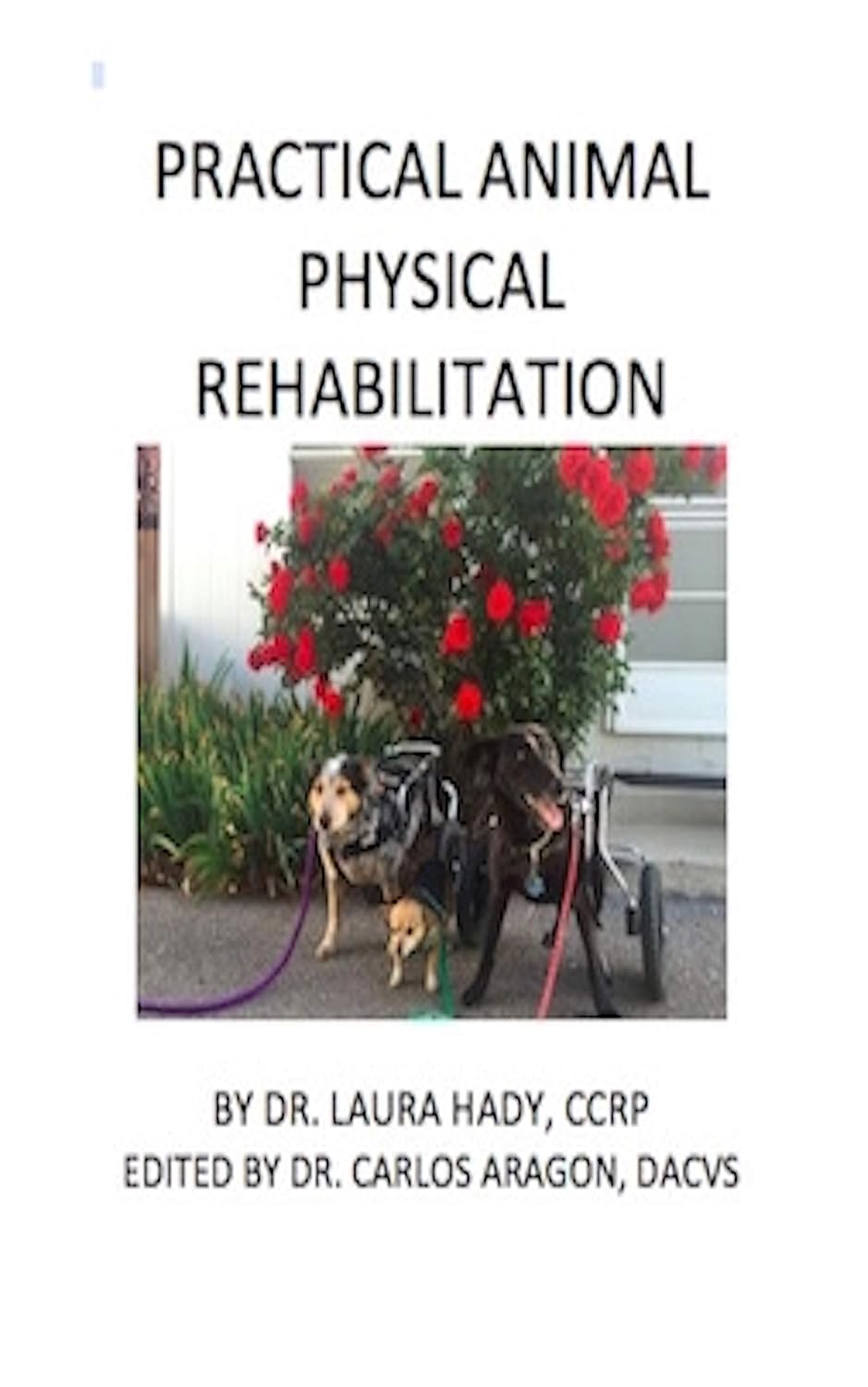 Practical Animal Physical Rehabilitation