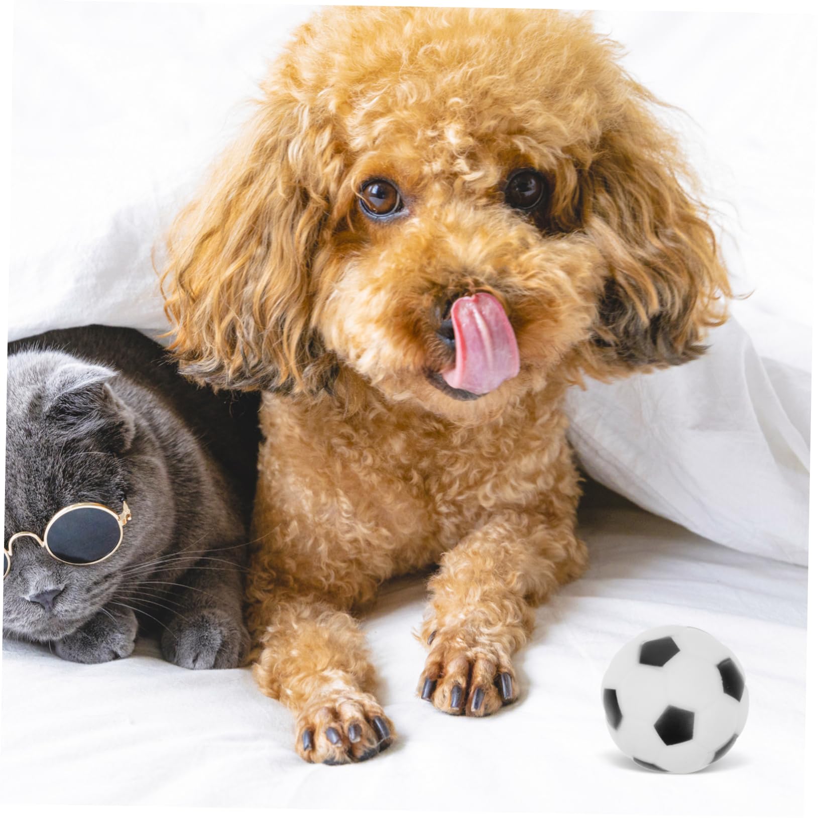 Kisangel 20 Piezas Pelota de Juguete para Perros Cachorro Juguetes interactivos Juguete Interactivo para Masticar Dog Toys Animales Juguetes mordedura de Juguete para Mascotas Caucho