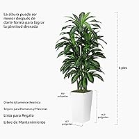 Vista 6 de Árbol artificial de Dracaena de 5 pies, árbol falso con maceta alta negra, planta falsa de yuca sintética en maceta, planta artificial
