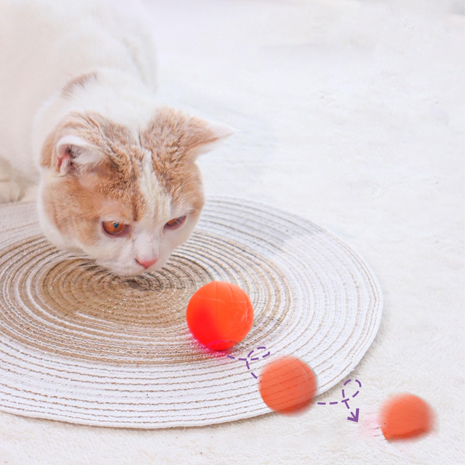 Juguete para gatos y perros de interior bola recargable con luz y sonido