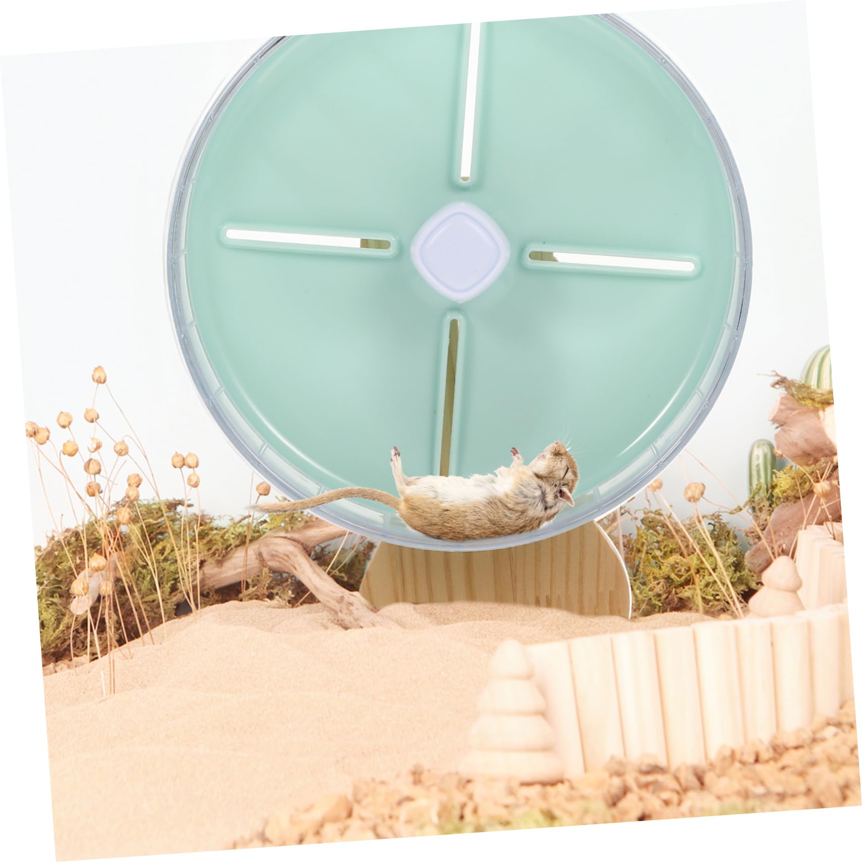 VICASKY 1 Ensemble Roue de Course Silencieuse pour Hamster avec Support Adorable pour Souris et Chinchilla pour Animaux