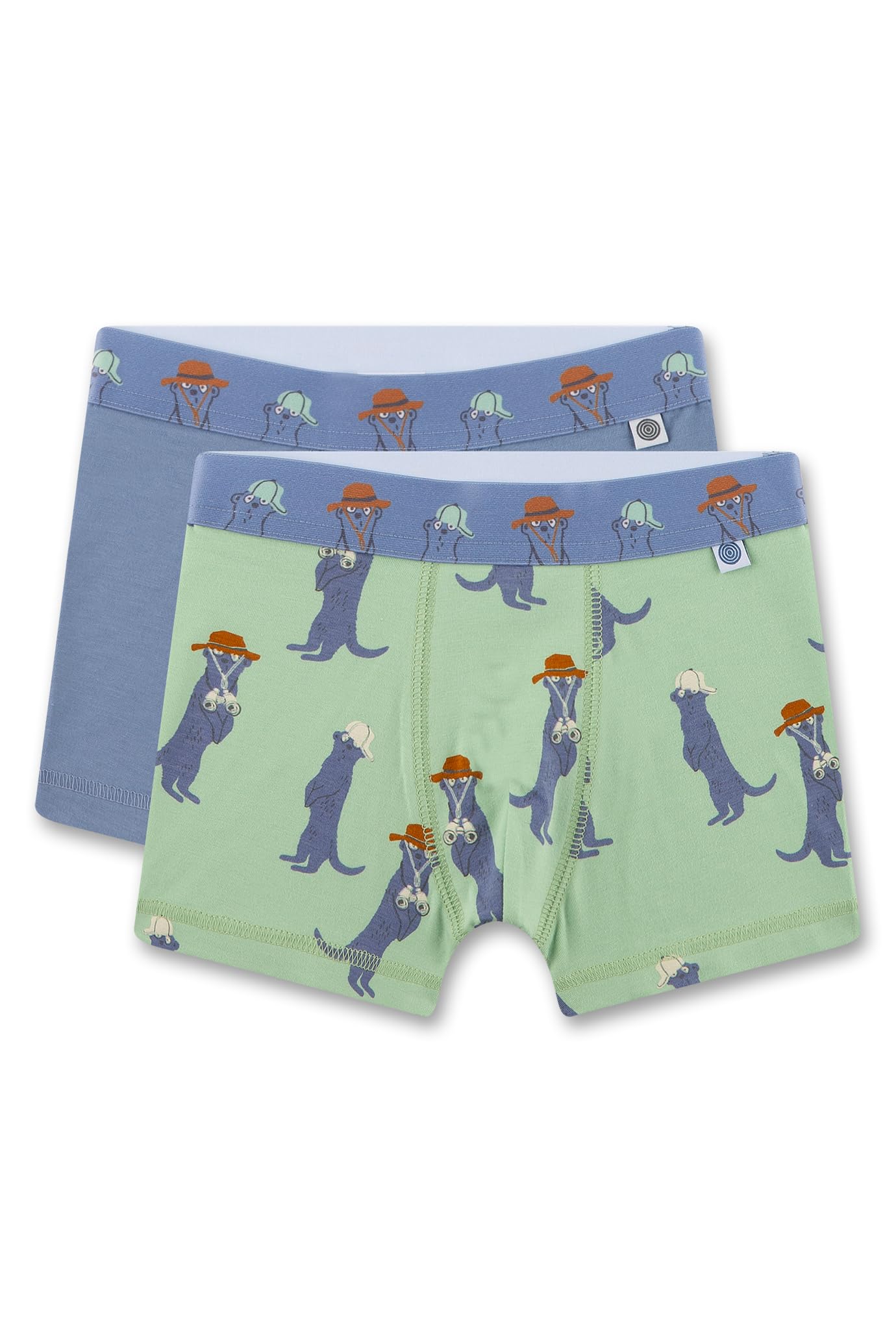 Sanetta Boys' Hipshorts (Twin Pack) Green & Blue | High-Quality and Sustainable Underwear for Boys Made of Cotton Mix Contents: Set of 2 Underwear for Boys, Green, 116