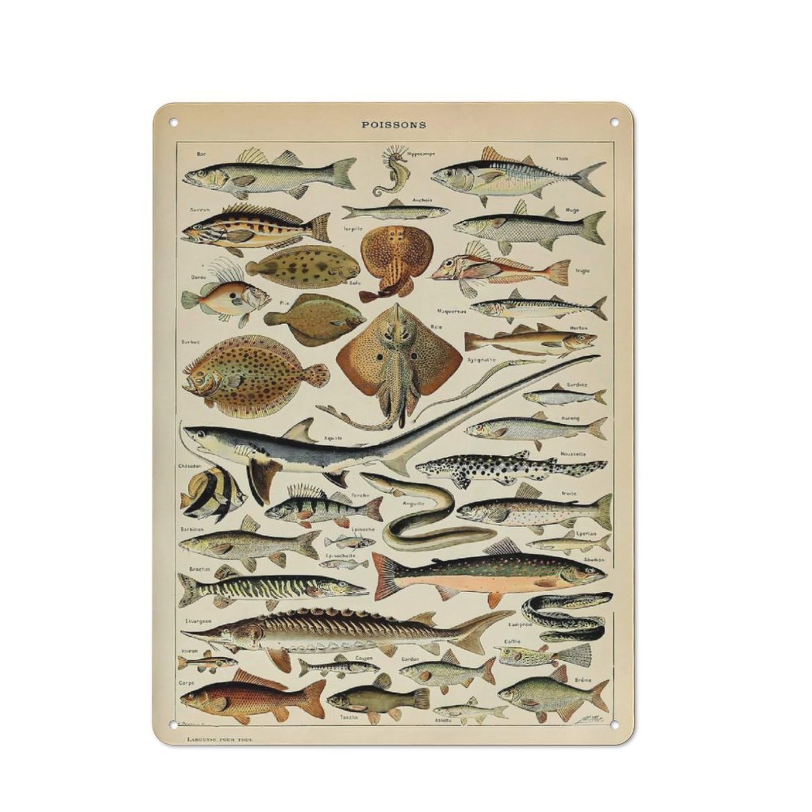 Junmoney Style-12 Classic Adolphe Millot Fish Metal Wall Plaque 40X30cm, Nostalgic Wall Art For Living Room, Hallway, Kitchen Or Cafe