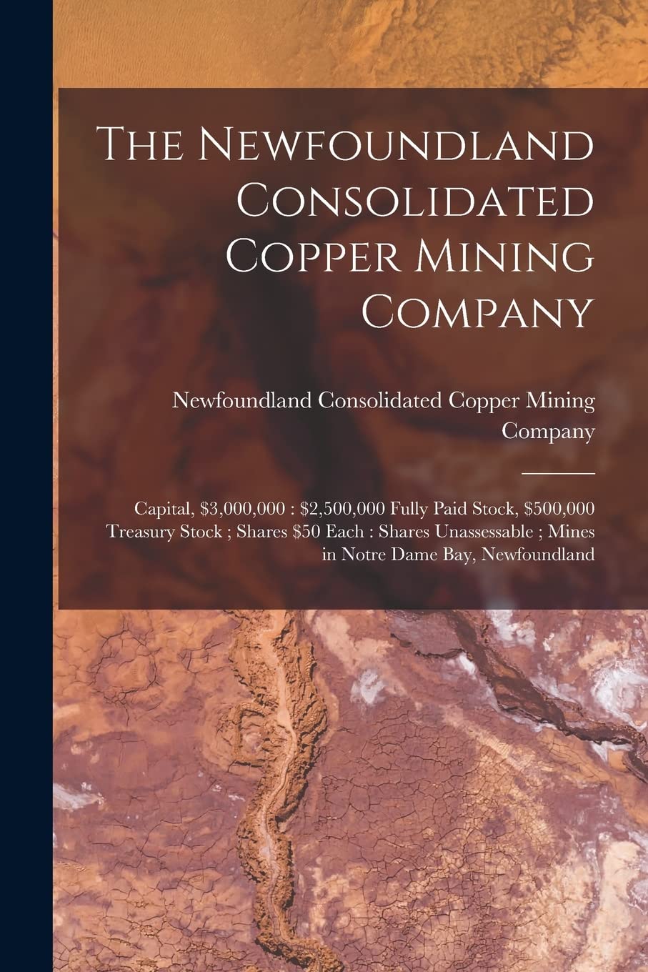 The Newfoundland Consolidated Copper Mining Company [microform]: Capital, $3,000,000: $2,500,000 Fully Paid Stock, $500,000 Treasury Stock; Shares $50 ... Mines in Notre Dame Bay, Newfoundland