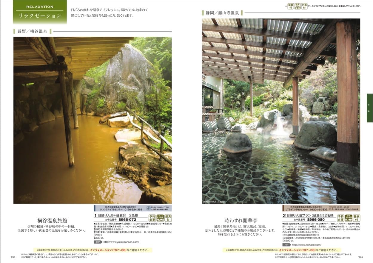 限定ポーチ付 美品 Zenchord 1 AI議事録 AI議事録のNottaがハード