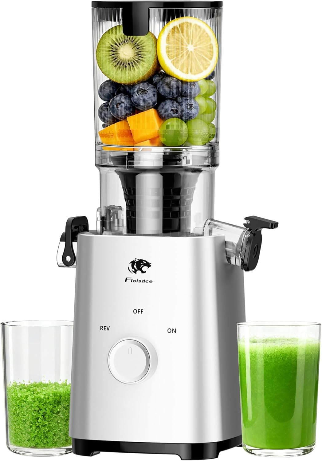 Cold Press Juicer, Juicers Machines - 5.3" Large Feed Chute for Whole Fruits & Vegetables, Powerful AC Brushless Motor, 99% Juice Yield, Ultra Quiet, Easy Clean, Extra one Replace juicer strainer T34