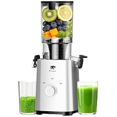 Cold Press Juicer Juicers Machines - 5 3 Large Feed Chute for Whole Fruits Vegetables Powerful AC Brushless