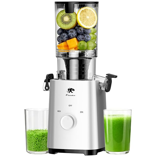 Cold Press Juicer Juicers Machines - 5 3 Large Feed Chute for Whole Fruits Vegetables Powerful AC Brushless