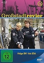 Großstadtrevier - Box 16/Folge 241-256 [4 DVDs]
