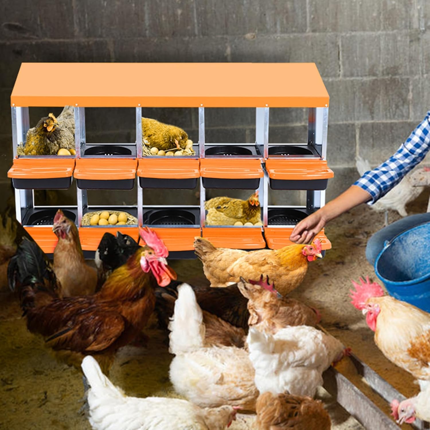 Rush Into These Late Night Deals!