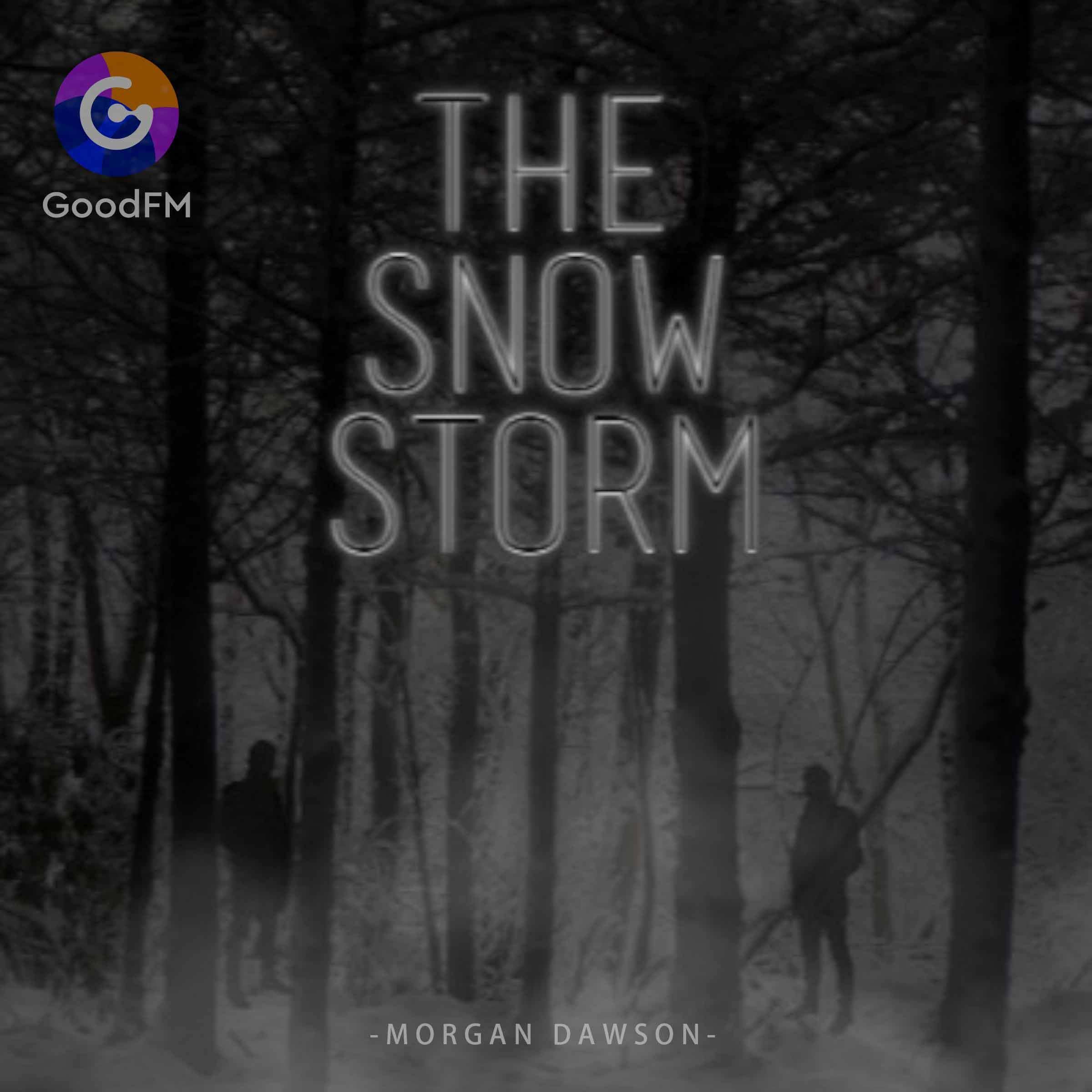 The Snow Storm: Book 1