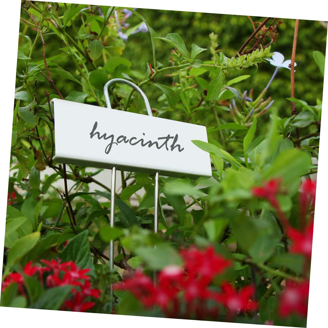 Yardwe 18 Piezas etiqueta colgante de jardinería etiquetas de vegetales etiquetas de jardín planta de macetas emblemas signo de efecto invernadero letrero de jardineria