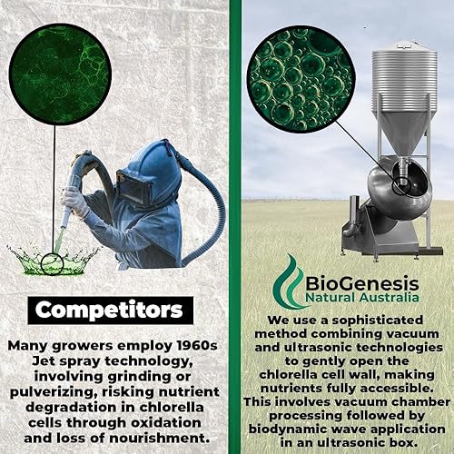 Miniatura 10 de BioGenesis Tabletas de Chlorella, 600 tabletas (500 mg)