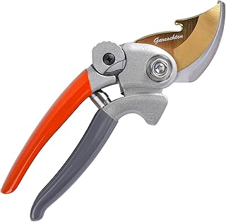 8.3\" Garden Secateurs Heavy Duty, Bypass Pruners with Distinctive Safety Lock, Premium Titanium Coated SK5 Blade, Non-Slip Handles, Clean Cut Pruning Shears, Garden Tool