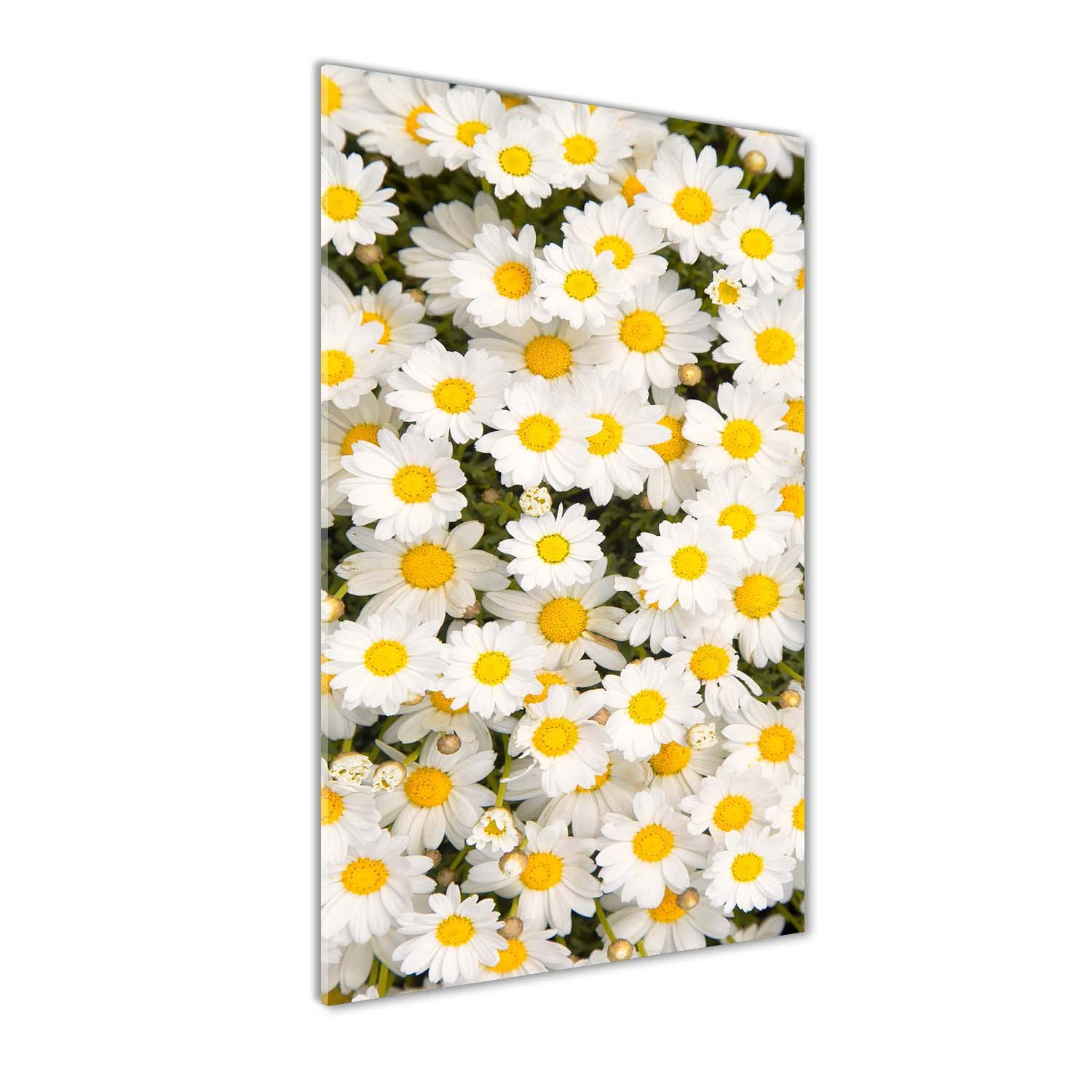 Tableau image fleurs de marguerite jaune peinture sur verre 70x140cm