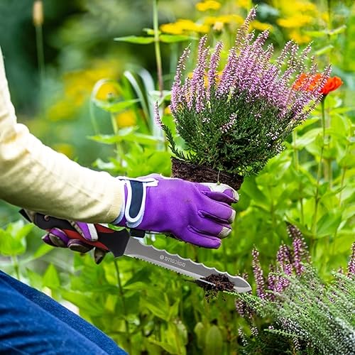 Miniatura 7 de PDTXCLS Aeiniweraabbcc Linsen-outdoors Cuchillo de jardín de acero inoxidable con hoja de 11 pulgadas, cortador de césped de doble cara, cuchillo de