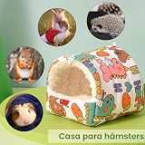 Ver la foto 2
