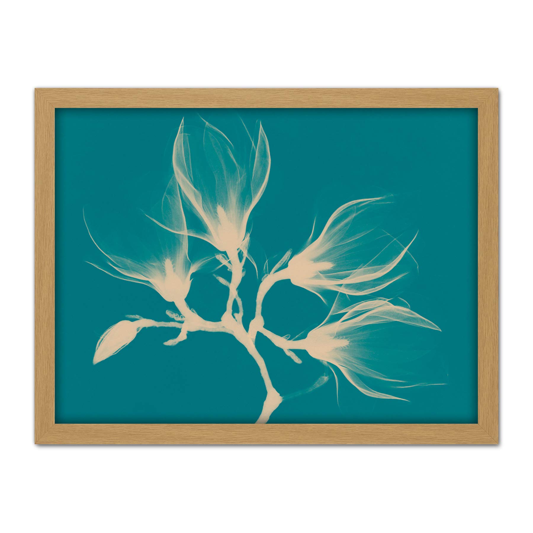 Wee Blue Coo Magnolia Branch Xray Blue Artwork Framed Wall Art Print 18X24 Inch