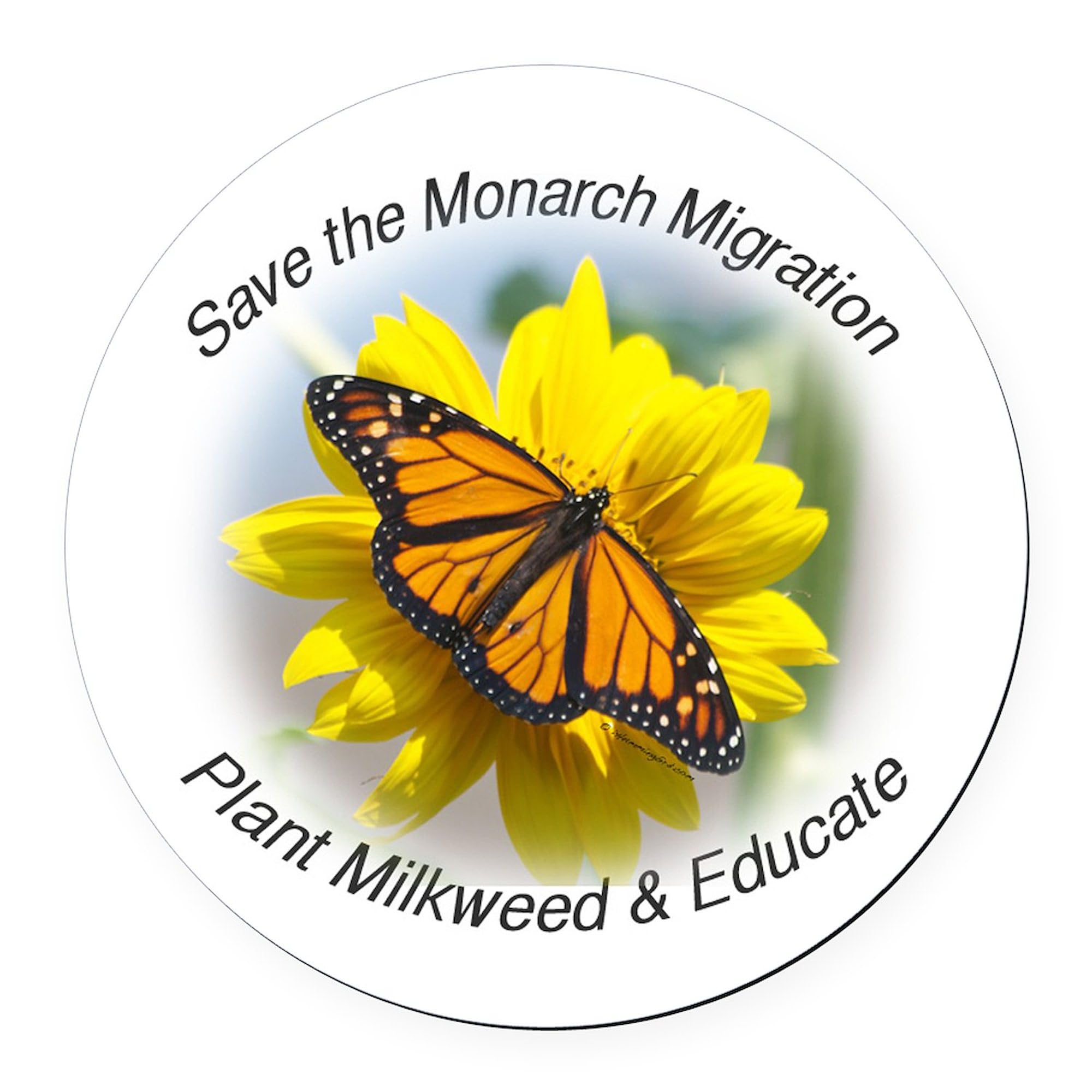 CafePress Save The Monarch Round Car Magnet, Magnetic Bumper Display
