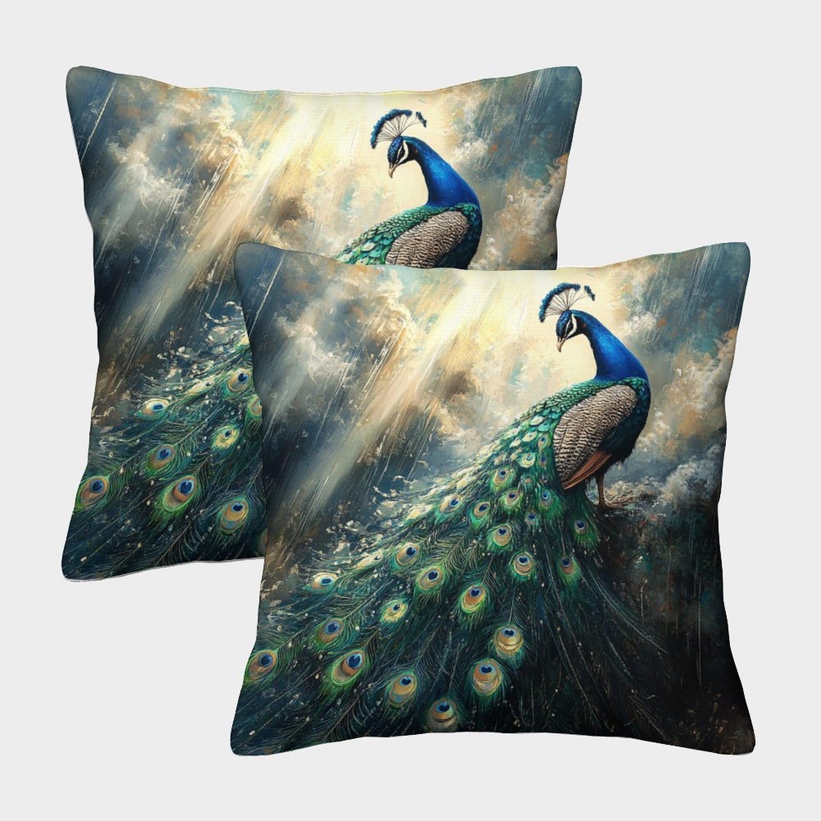 kaiyun 2 Pack 3D Peacock Spreads Its Tail,Rain And Sunshine Through The Clouds Cushion 3D Soft Touch Pillowcase,sofa Chair Home Furnishings 45x45cm
