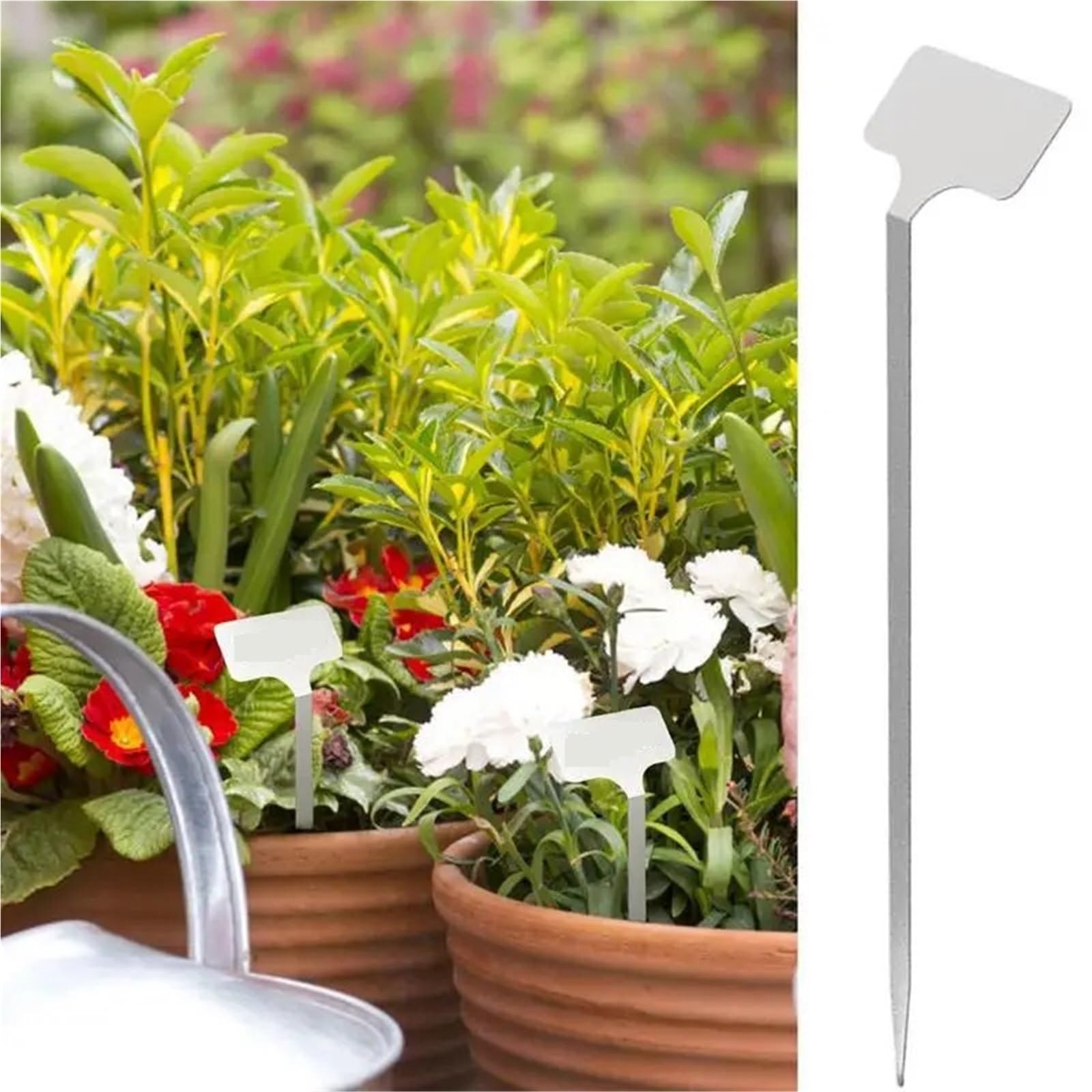 Marqueurs de plantes en acier inoxydable, étiquettes semis réutilisables, 10 pièces Pour l'enregistrement des noms de plantes