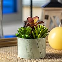 Karlliu Colorful Artificial Succulents in Ceramic Planter - Lifelike Fake Potted Plants for Home Office Desk Bathroom Decor