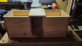 Review Image by Torii Marie Torii Marie