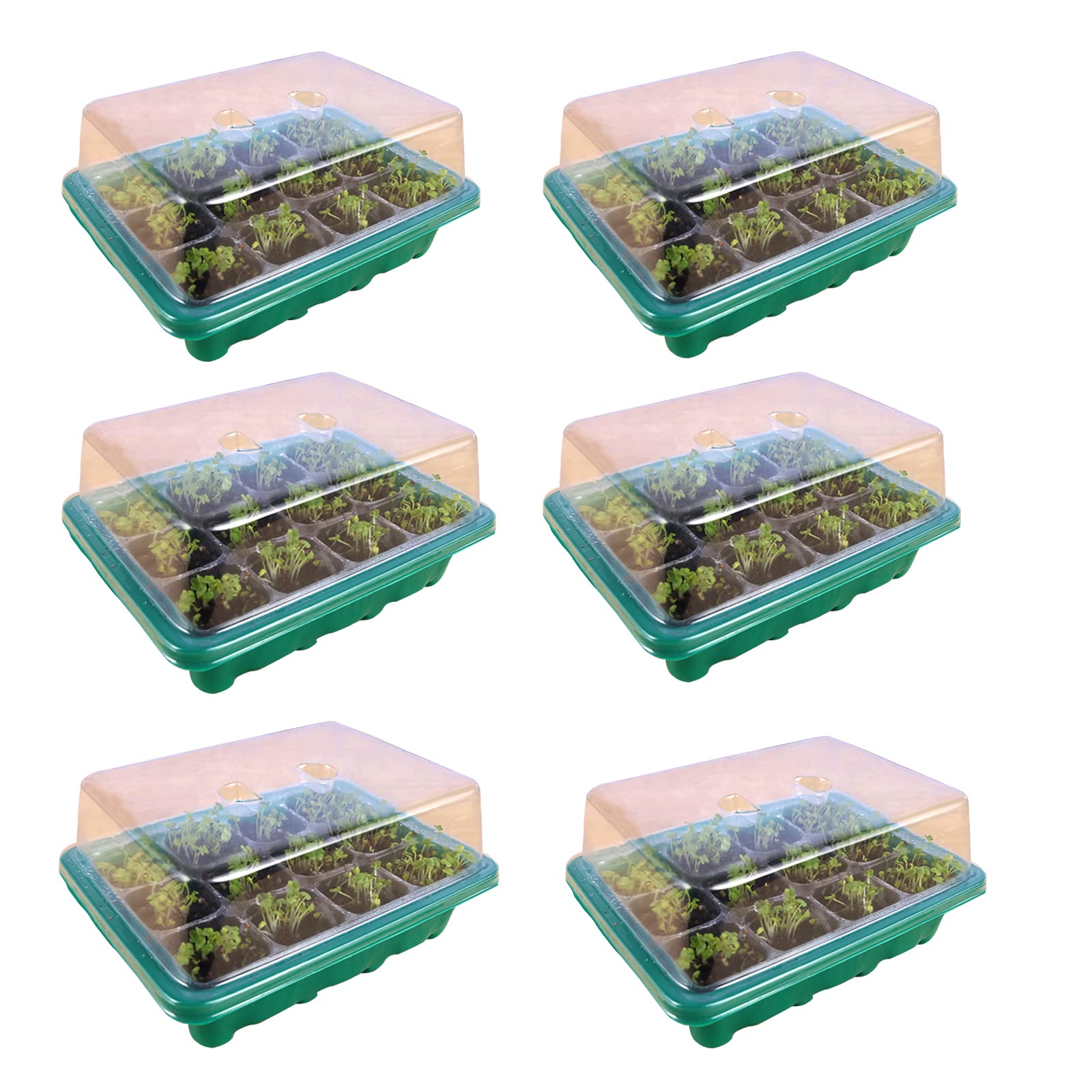 6 juegos de bandeja de semillas de invernadero, Bandeja de semillas de invernadero para interiores con orificios de ventilación para horticultura de jardín