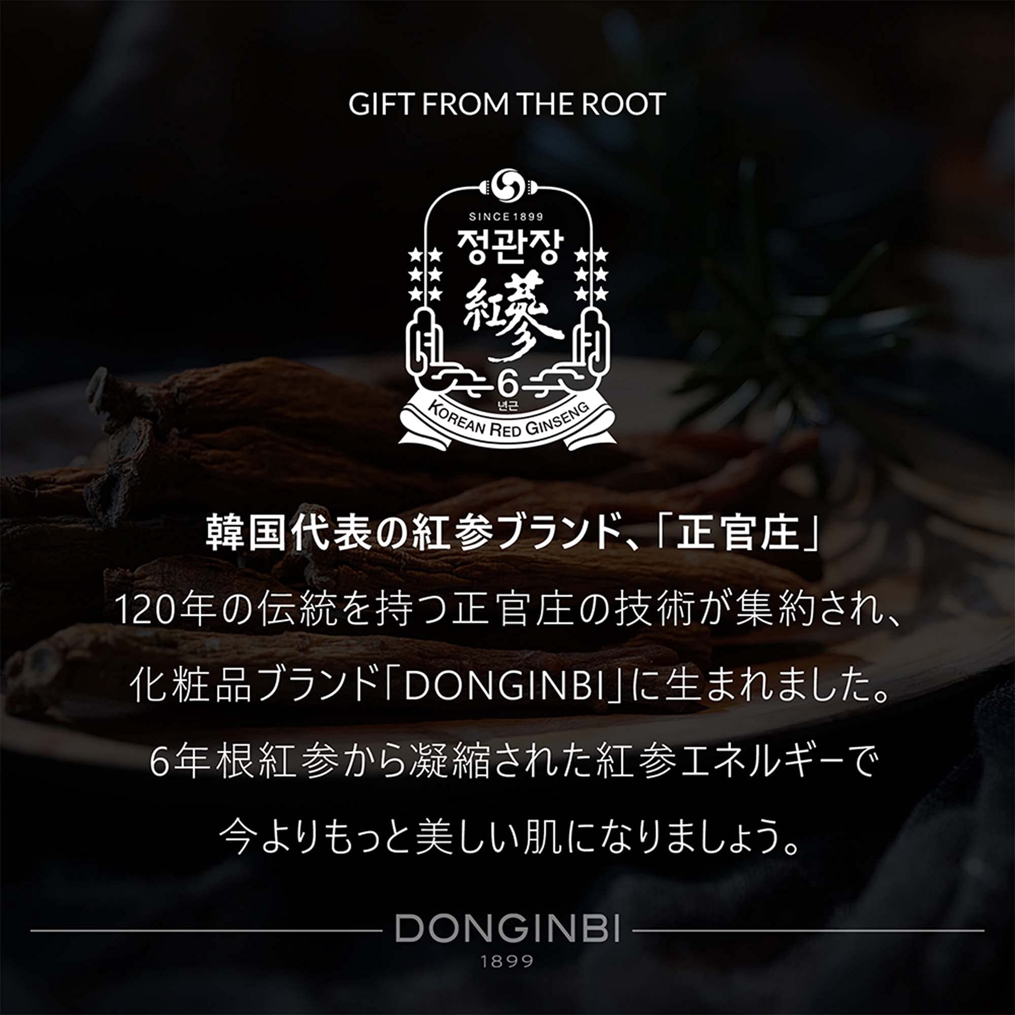 子供のための最高のオンライン教育サイト