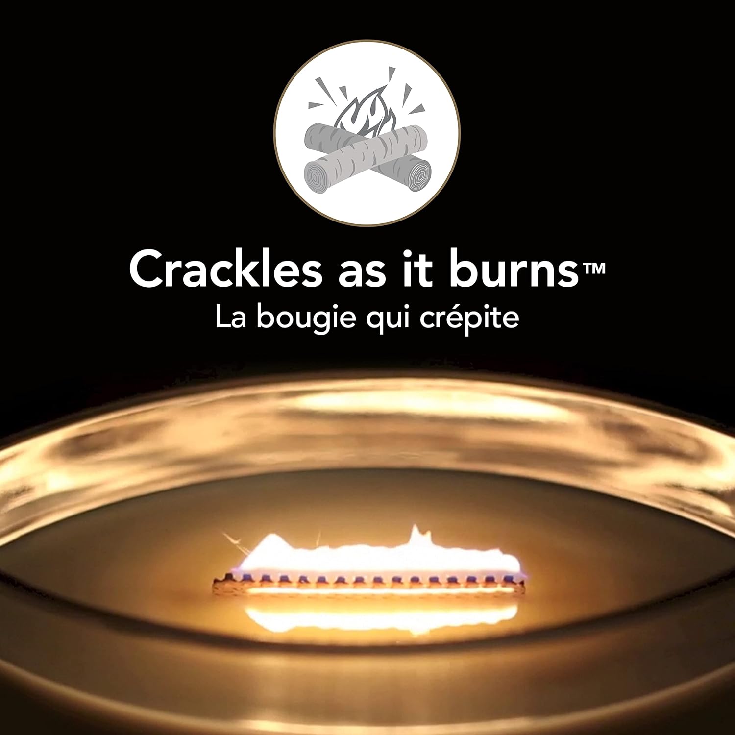 Woodwick Ellipse Scented Candle, Frasier Fir, 16oz | Up to 50 Hours Burn Time & Medium Hourglass Candle, Fireside - Premium Soy Blend Wax, Pluswick Innovation Wood Wick, Made in USA