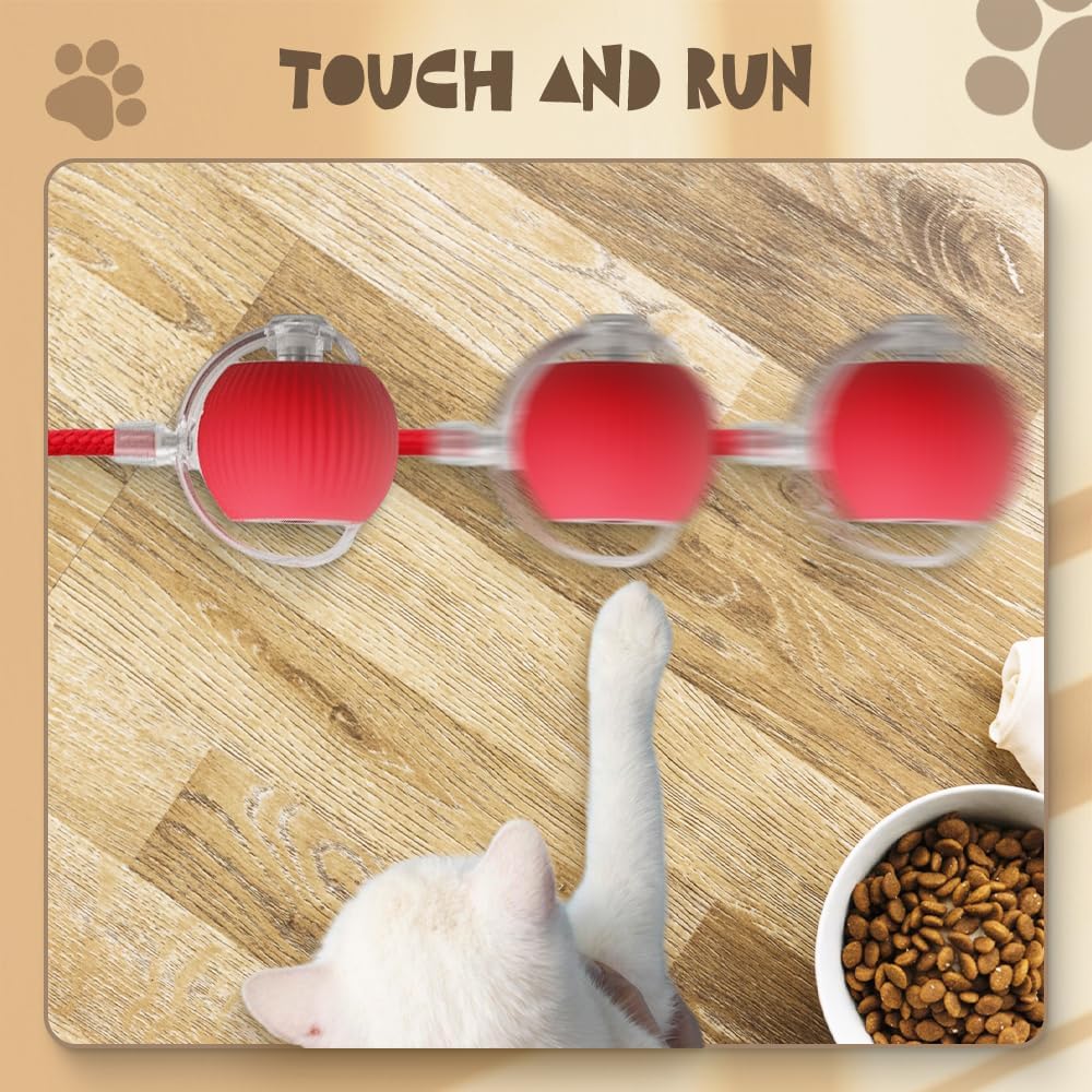 View 5