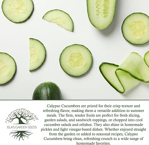 Miniatura 6 de Semillas de pepino Calypso para plantar, más de 25 semillas de reliquia por paquete, semillas de jardín de Isla (semillas de jardín de Isla),