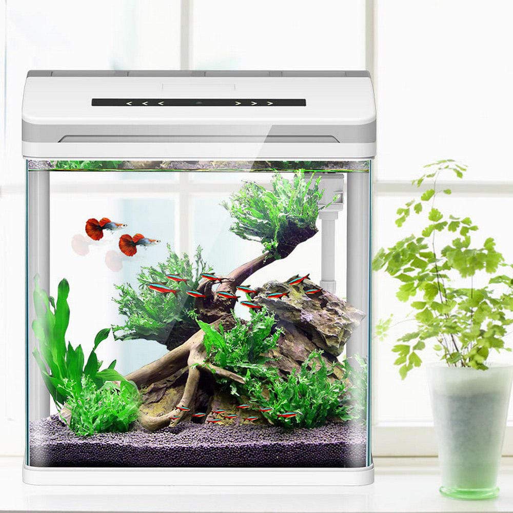 MJYJL Aquarium Kit Fish Bowls Smart Aquarium Betta Fish Mini Aquarium Creative Fish Tank Home Office